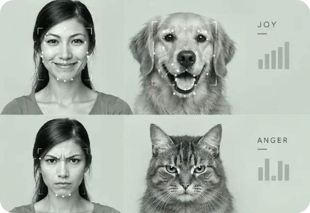 Human, dog and cat facial expressions compared side by side with emotion readings
