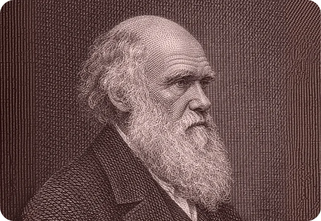 Engraved portrait of Charles Darwin