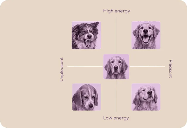 PetGPT diagram — a dog surrounded by sensor and AI icons