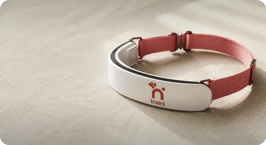 Traini smart collar hardware