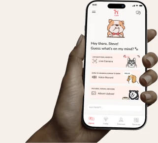 Traini app on iPhone