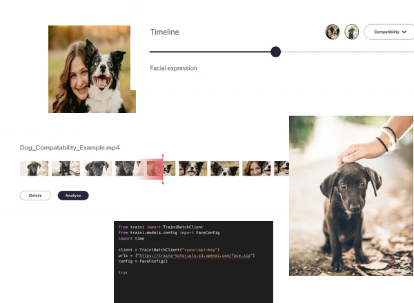 PetGPT interface